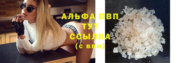 прущие грибы Майский