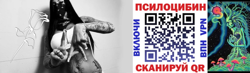 Псилоцибиновые грибы Magic Shrooms  Купить где  Великий Новгород 